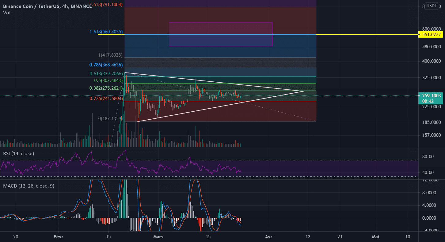 Triangle symétrique BNB/USDT pour BINANCE:BNBUSDT par J3r3my456