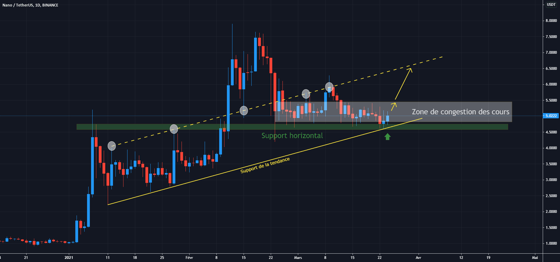 NANO/USDT D1 : Haussier de fond mais en congestion pour BINANCE:NANOUSDT par Antoine-Diabolo