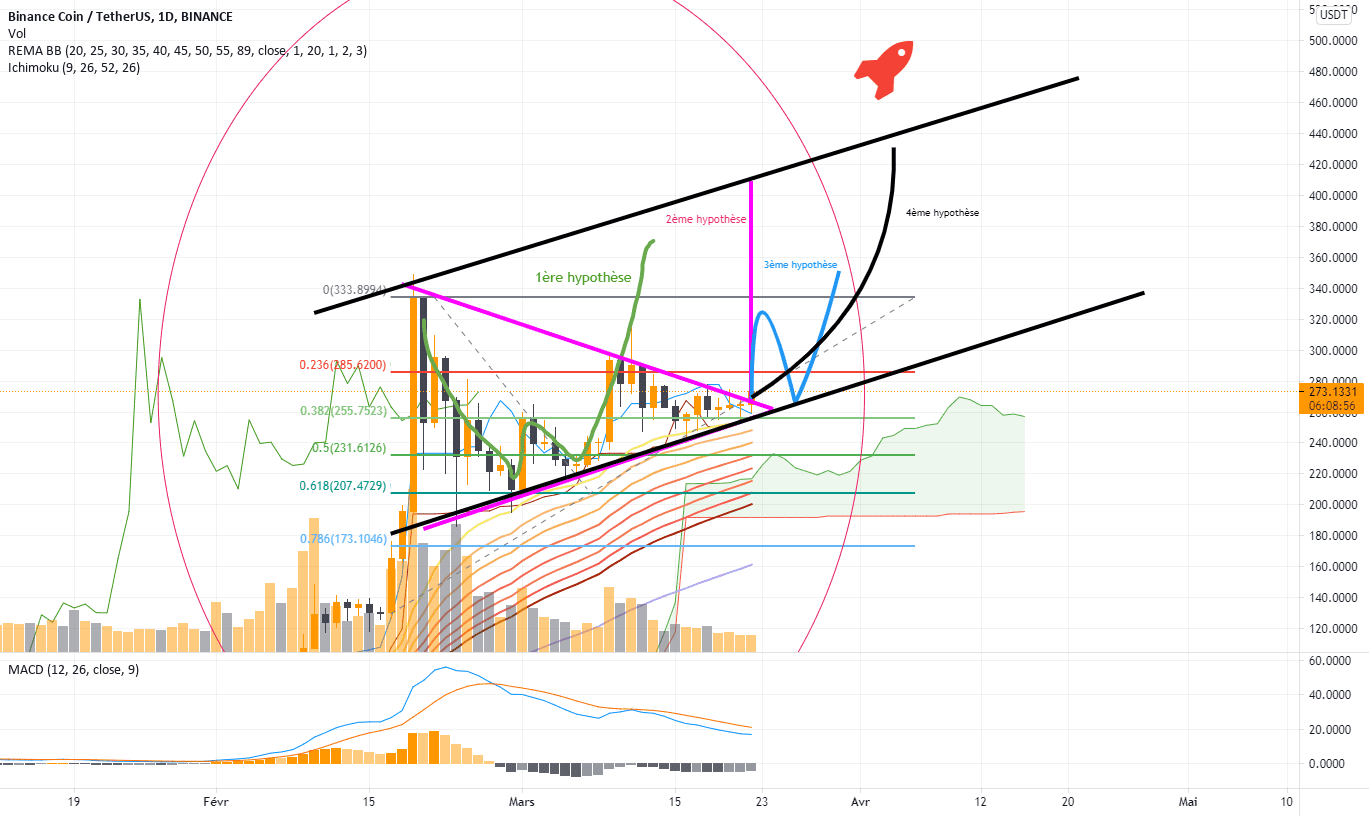 Hypothèse sur le BNB pour BINANCE:BNBUSDT par FaloTheGod