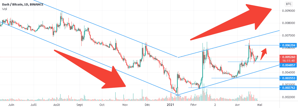 Croissance DASHBTC pendant 4 mois. pour BINANCE:DASHBTC par NaikoN81