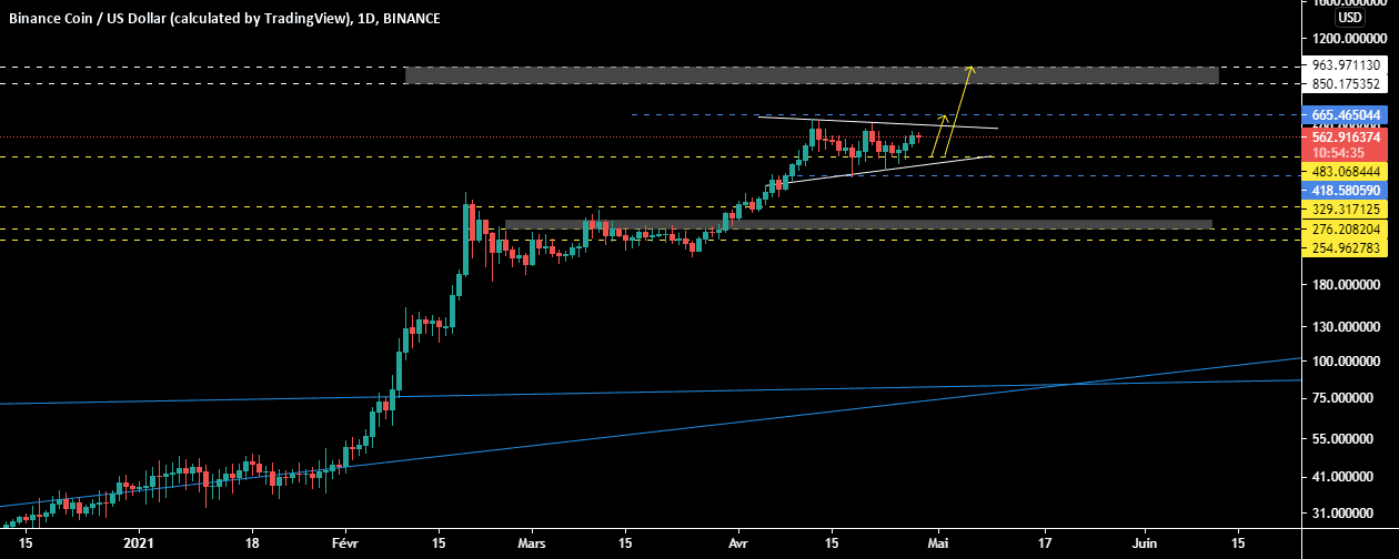 BNBUSD , D pour BINANCE:BNBUSD par samrani1