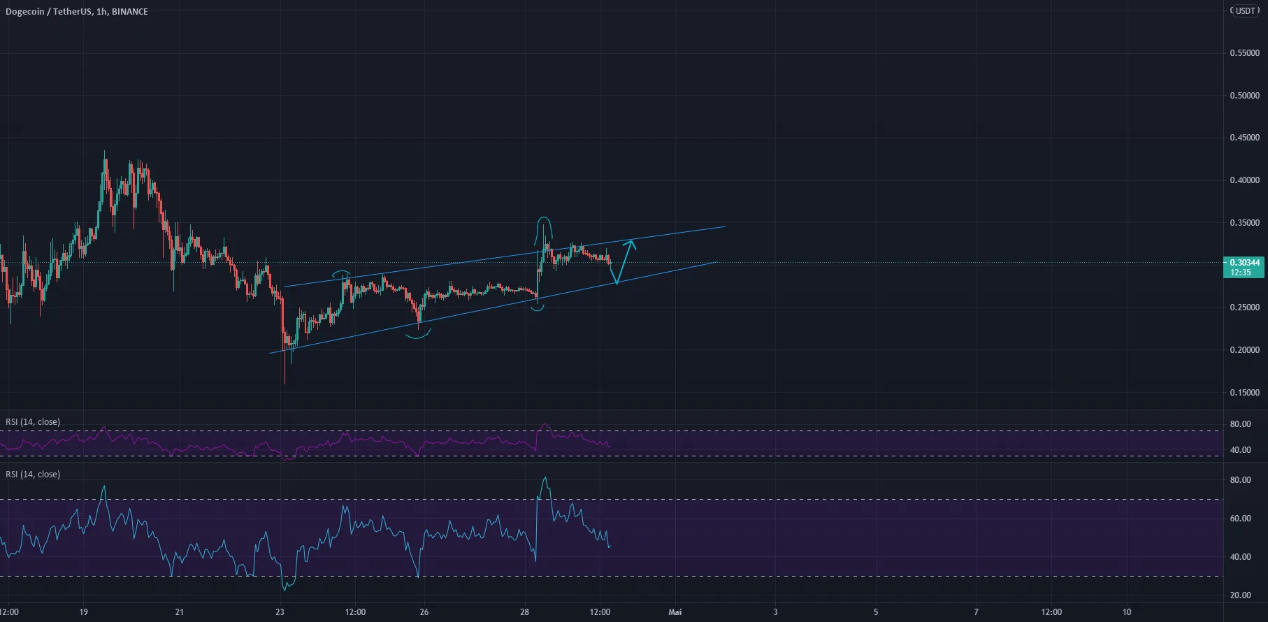 Analyse DOGEUSD H1 pour BINANCE:DOGEUSDT par Vic_Onx