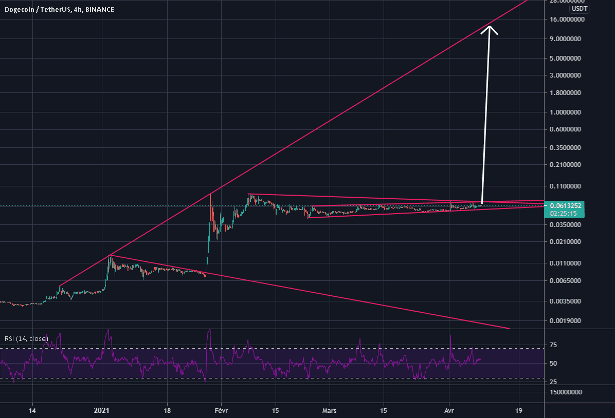 Dodge +20000% pour BINANCE:DOGEUSDT par Nabilla