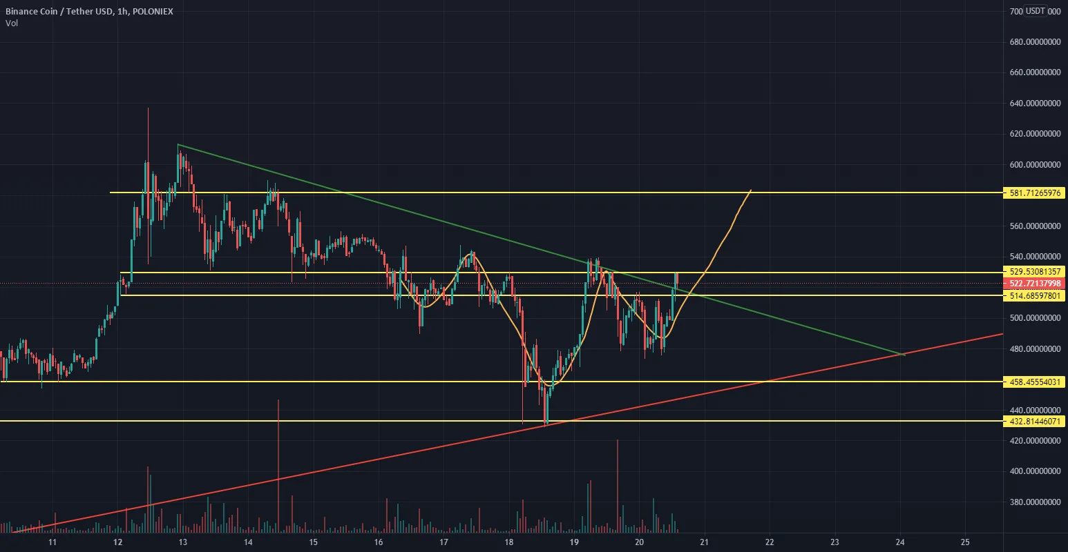 BNB ANALYSE pour POLONIEX:BNBUSDT par jebli_med