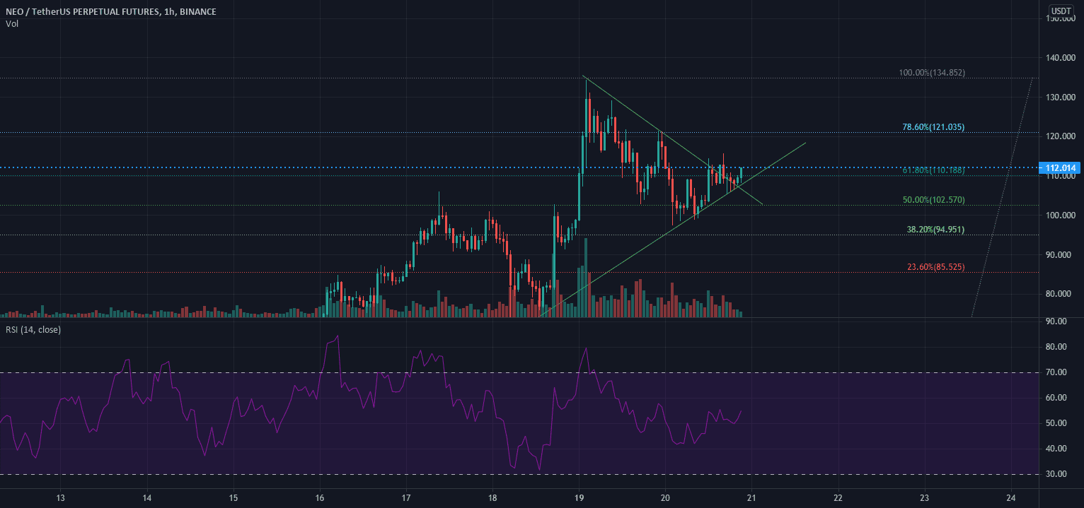 Triangle ascendant pour BINANCE:NEOUSDTPERP par DeltaBojeu2