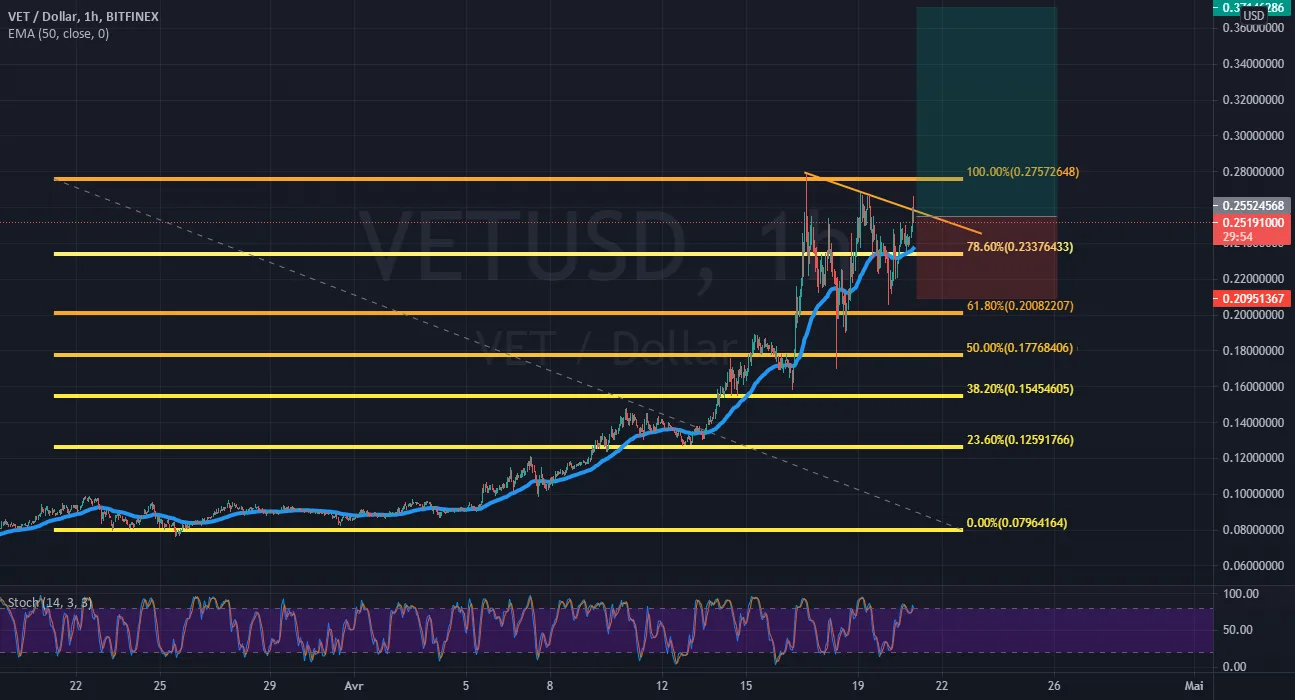 VETUSD PRICE ACTION pour BITFINEX:VETUSD par RayaneTrc