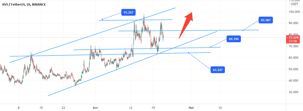 XVSUSDT se développe et continuera de croître. pour BINANCE:XVSUSDT par NaikoN81