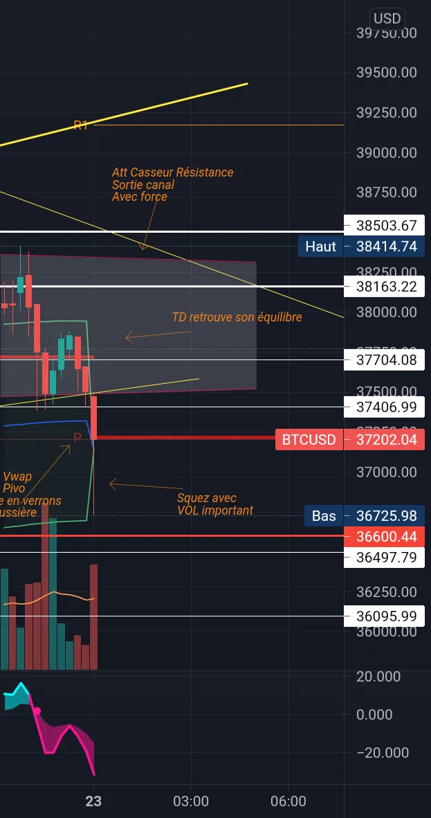 Btcusd Suivi pour BITSTAMP:BTCUSD par AbdelCardin1221