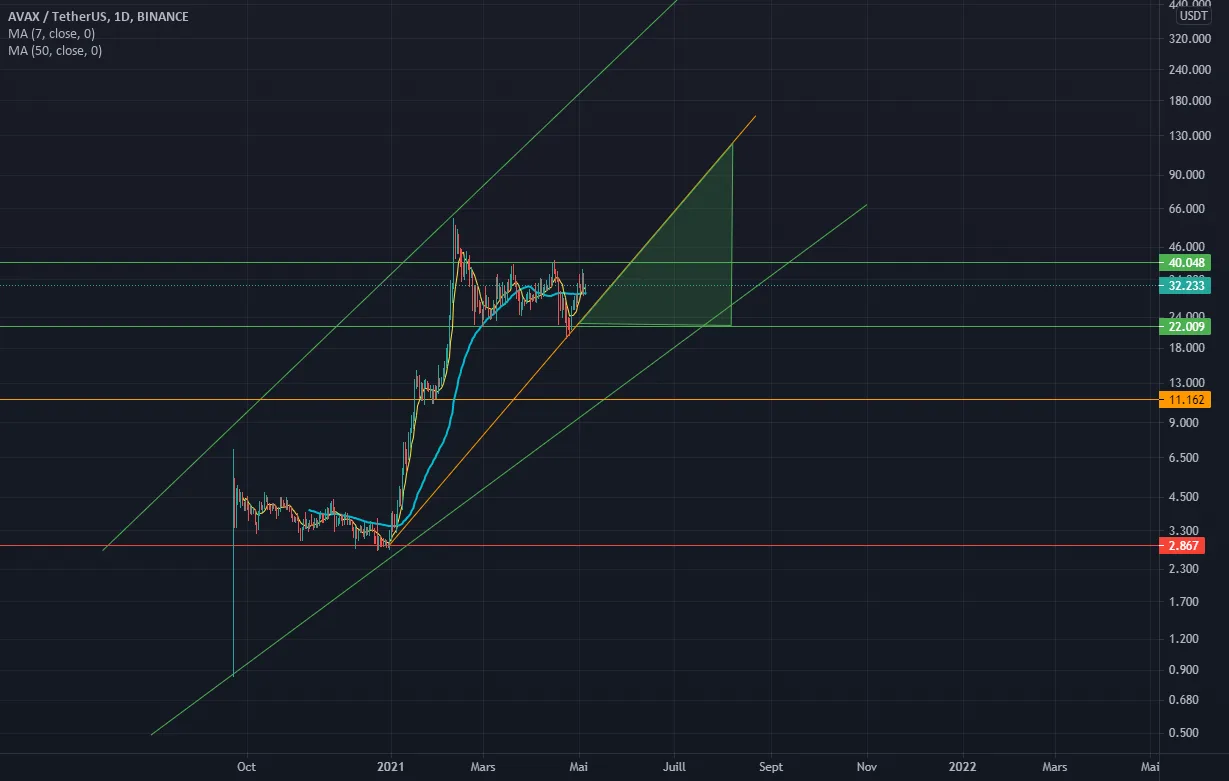 AVAX - Option de tendance pour BINANCE:AVAXUSDT par Daalibaba