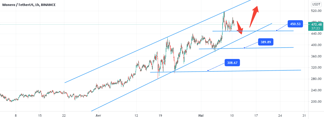 Mouvement XRMUSDT dans le canal ascendant. pour BINANCE:XMRUSDT par NaikoN81