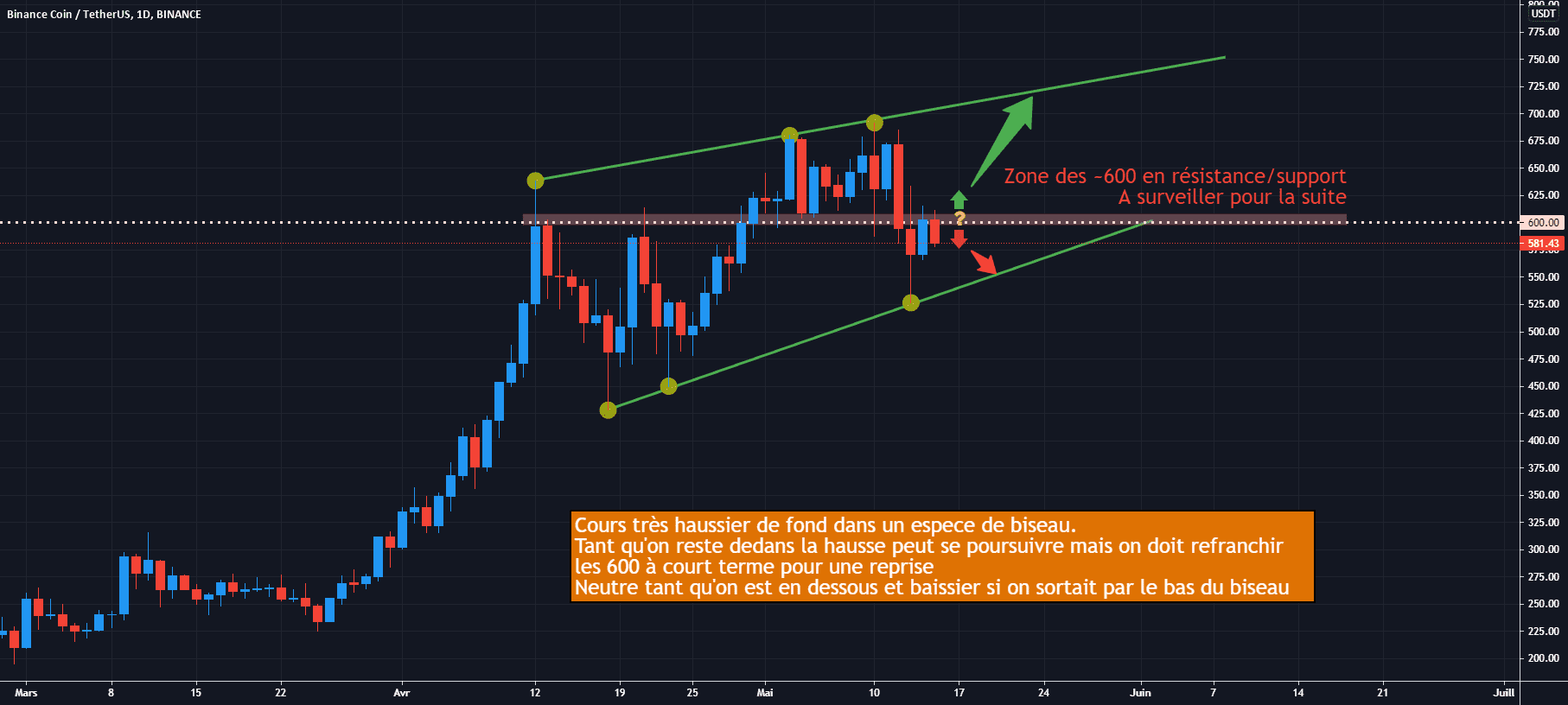 BNB/USDT D1 : Haussier mais dans un biseau pour BINANCE:BNBUSDT par Antoine-Diabolo