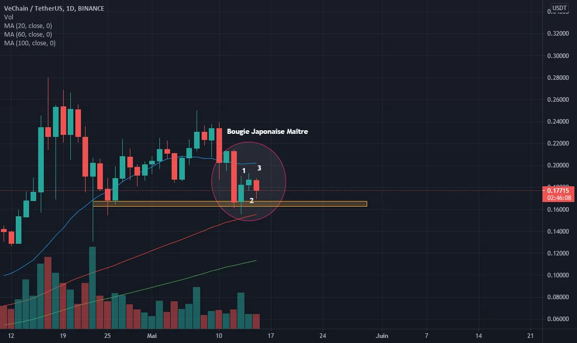 VET : en approche du Pump ! pour BINANCE:VETUSDT par FakeNote1059975