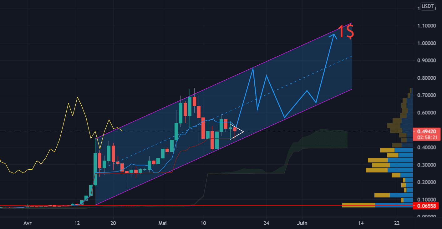 DOGECOIN DAILLY PREDICTION pour BINANCE:DOGEUSDT par AlianceTrading