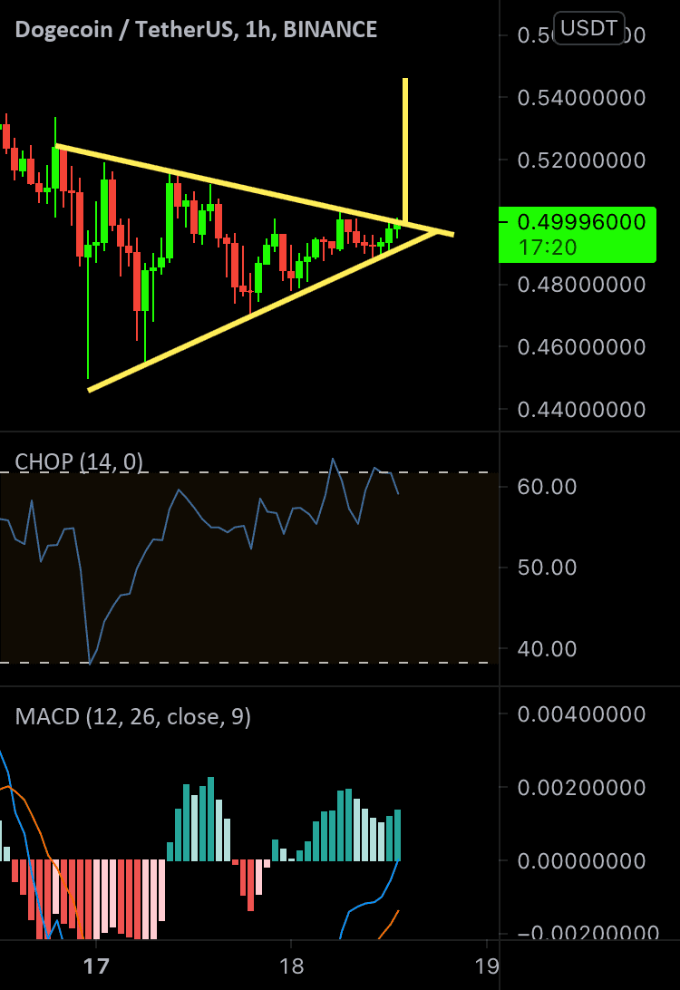 Doge coin qui va peter pour BINANCE:DOGEUSDT par Nolanbzh