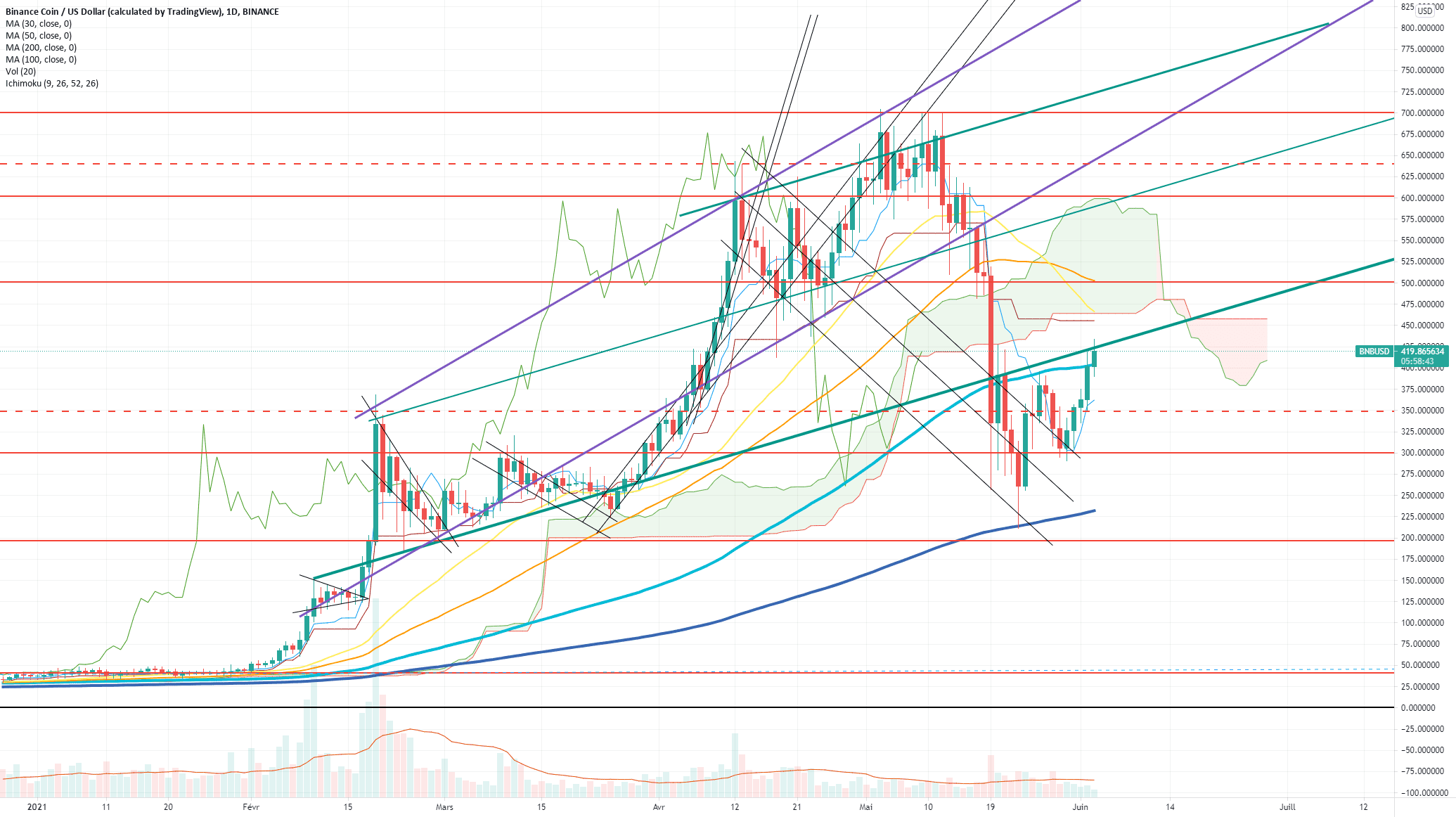 BNB/USD (Daily) pour BINANCE:BNBUSD par Damo5444