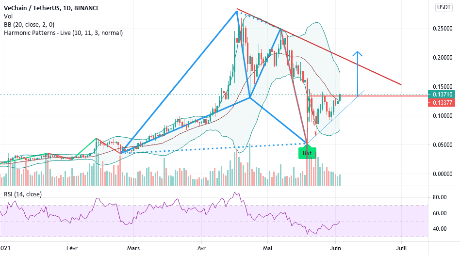 VET USDT - Pattern - Chauve souris - Poursuite de la hausse pour BINANCE:VETUSDT par VikxTo