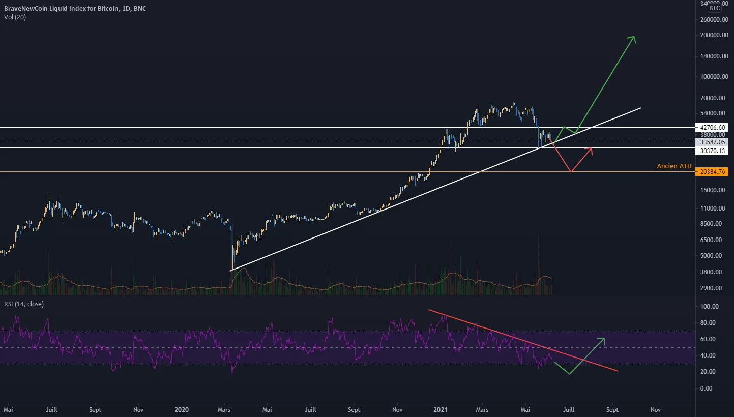 novice - Reprise du Bullrun, quand ça ? comment ça ? pour BNC:BLX par Elastrik