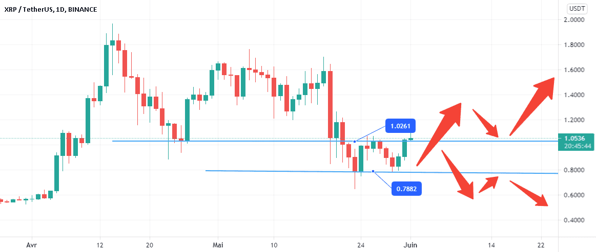 XRPUSDT - Monter ou descendre ! pour BINANCE:XRPUSDT par NaikoN81