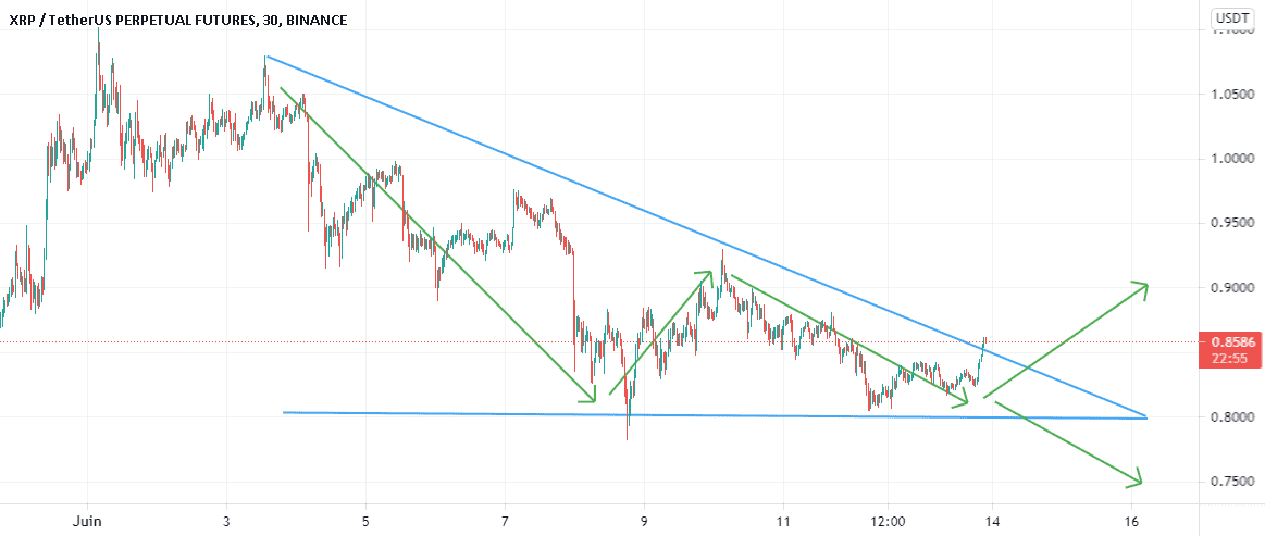 XRPUSDT - Monter ou descendre ! pour BINANCE:XRPUSDTPERP par NaikoN81