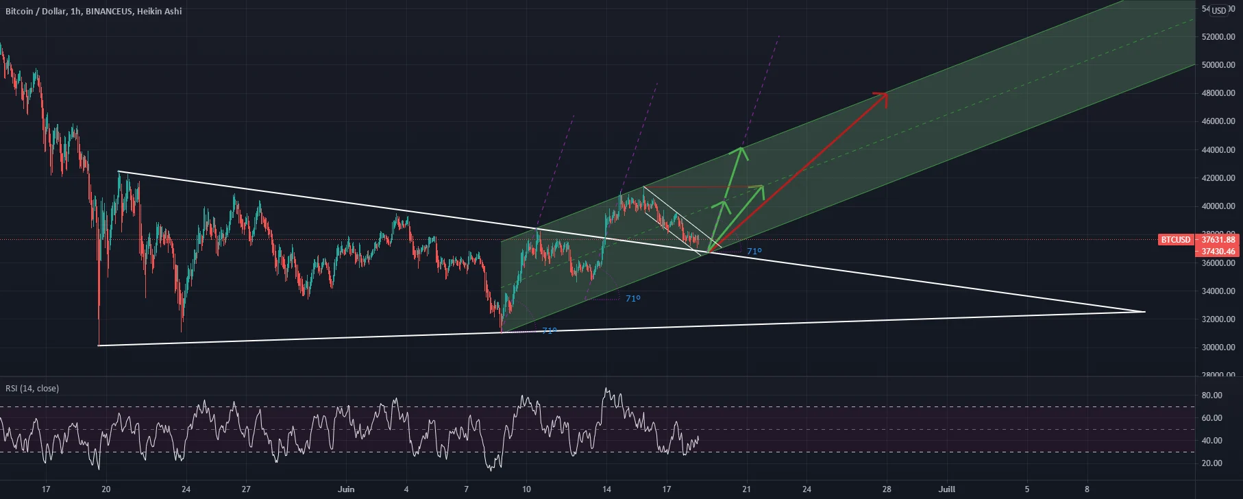 Rebond du Bitcoin probable en H1 ! pour BINANCEUS:BTCUSD par geco_x