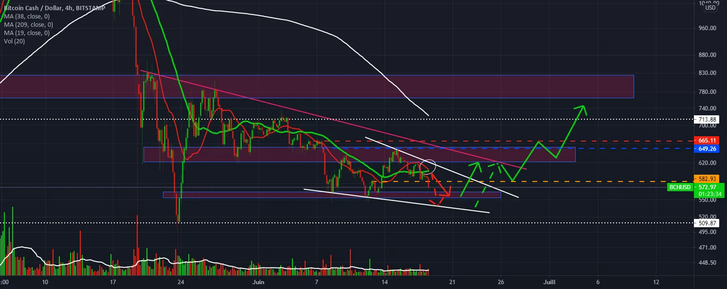 Soon we will know if its worth the cost of keeping BCH/ USD240 pour BITSTAMP:BCHUSD par stephanelibatd