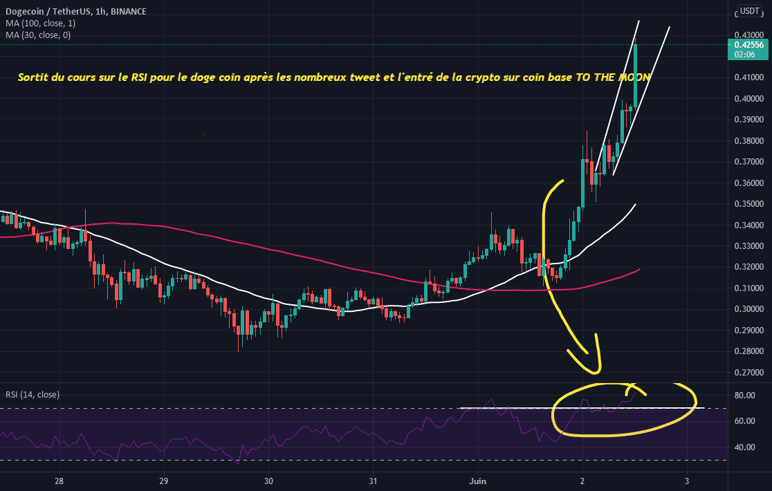 Analyse journalière sur le DOGE COIN après les annonces :) pour BINANCE:DOGEUSDT par yassrifi