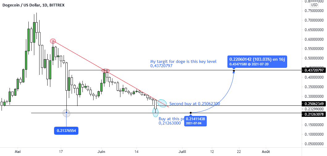 OPPORTUNITY TO BUY DOGECOIN pour BITTREX:DOGEUSD par anashajjajtrader2021