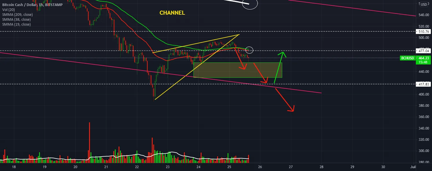 Last bullish signal for BCH on horizontal support and channel pour BITSTAMP:BCHUSD par stephanelibatd