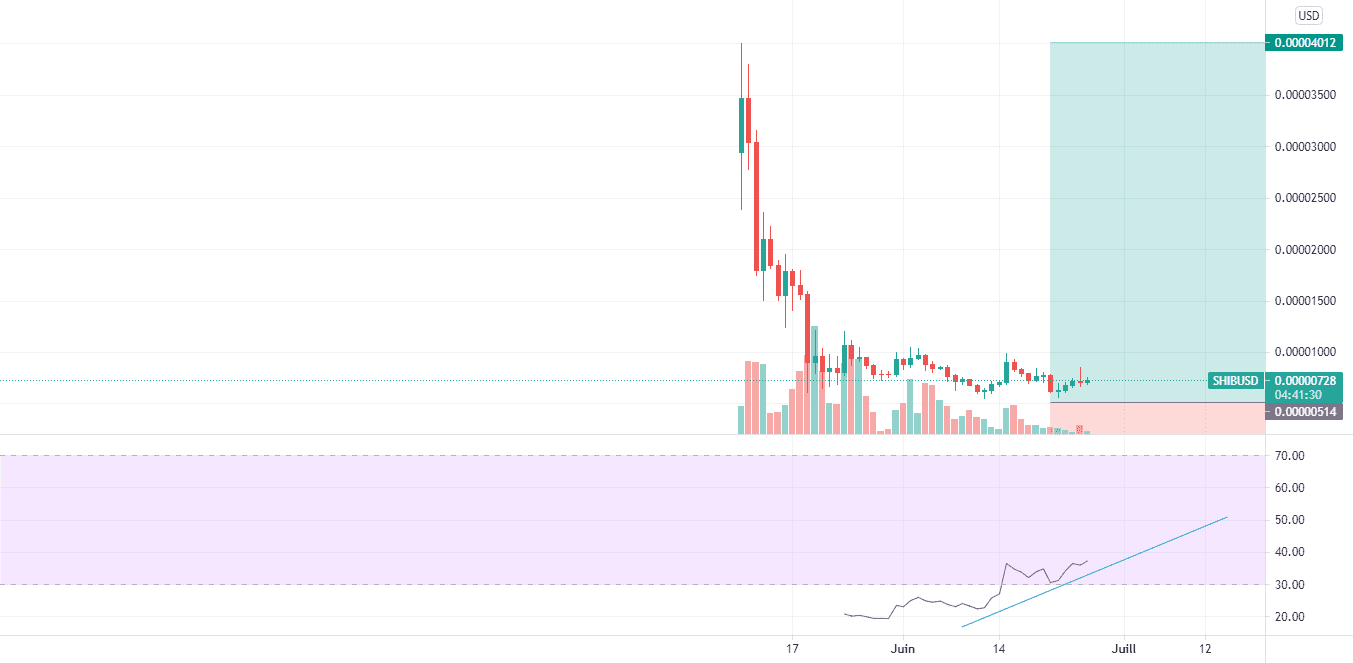 SHIBA INU/USD pour FTX:SHIBUSD par Ananou-Edorh