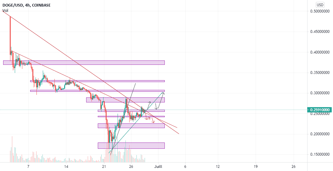 Hausse probable mais la chute pas à négliger sur le Doge pour COINBASE:DOGEUSD par Tyann007