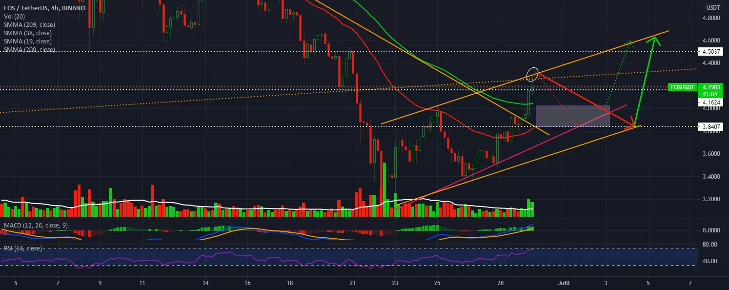 EOS / USDT come to a place of future decision 240 pour BINANCE:EOSUSDT par stephanelibatd