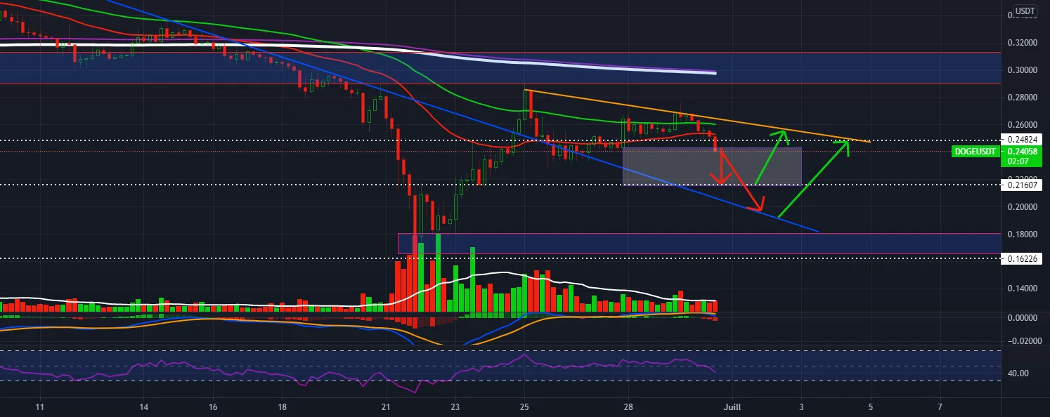 Last chance to enter a potential bullish move on DOGE / USDT pour BINANCE:DOGEUSDT par stephanelibatd