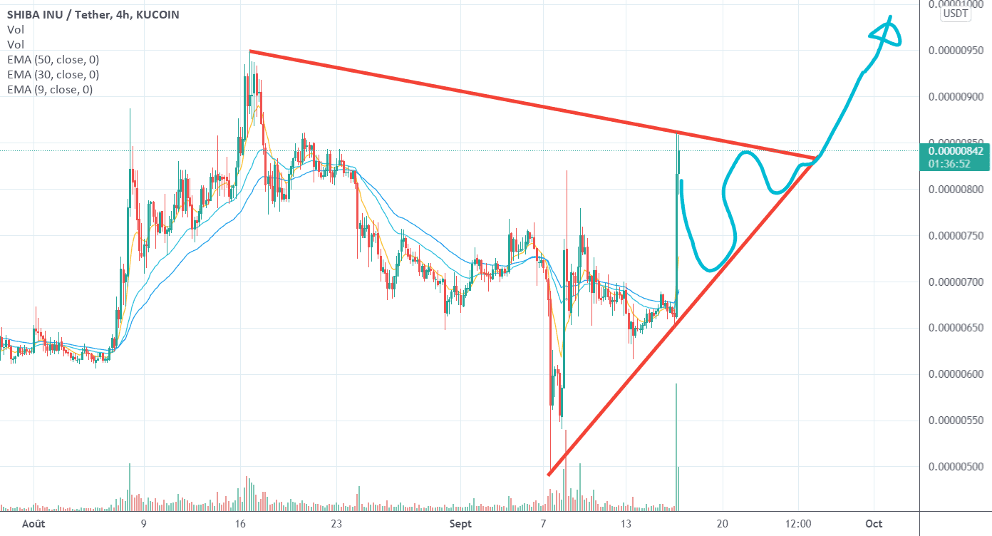 SHIBA INU : L'euphorie revient pour KUCOIN:SHIBUSDT par Le_Boa