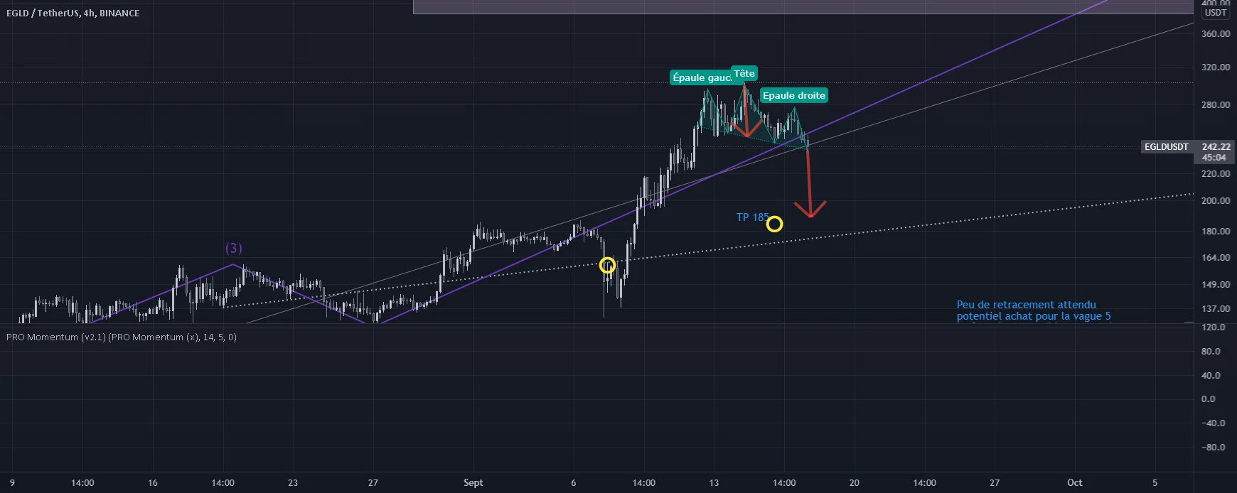 EGLD - ETE pour BINANCE:EGLDUSDT par Boid