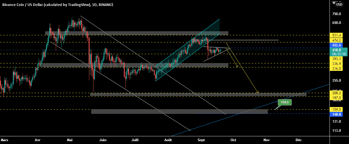 BNBUSD , D pour BINANCE:BNBUSD par samrani1