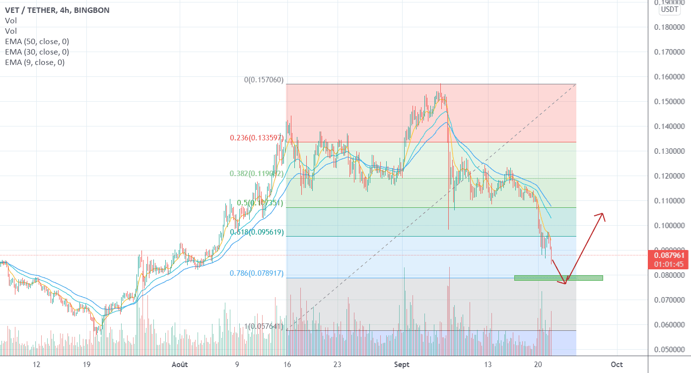 VET : Une double frappe pour BINGBON:VETUSDT par Le_Boa