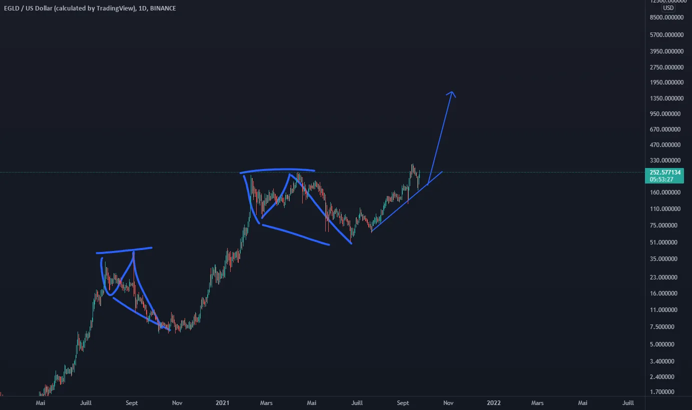 EGLD Sky is coming pour BINANCE:EGLDUSD par RijinAnsari