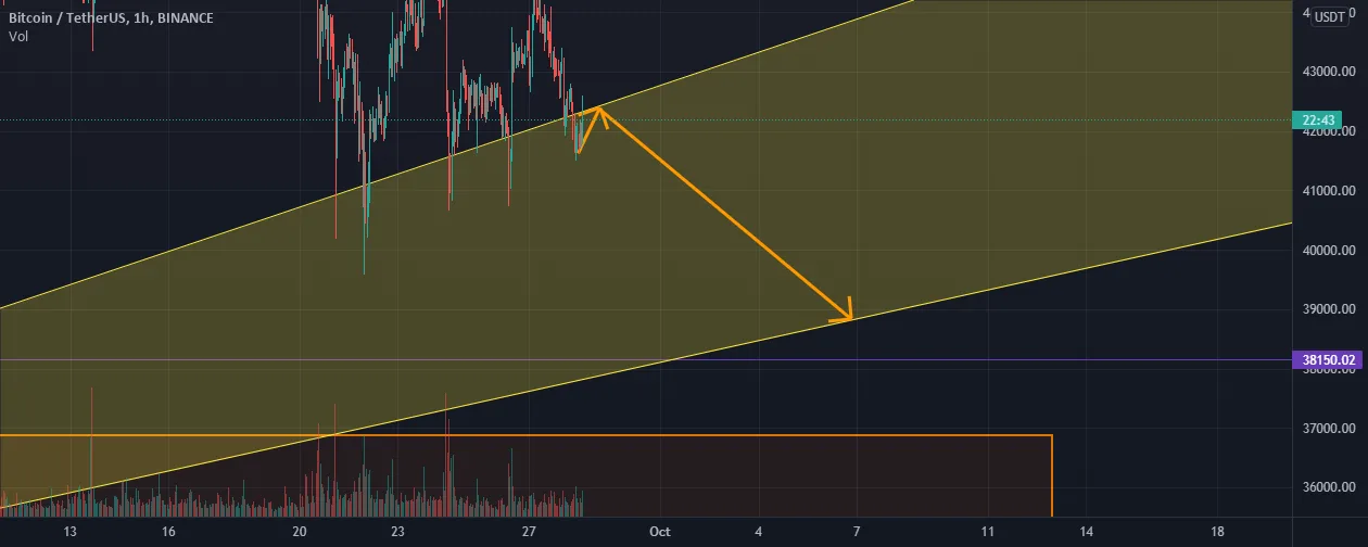 PULLBACK CANALVELOCITER pour BINANCE:BTCUSDT par pestos