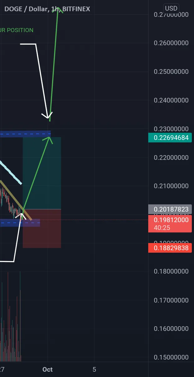 DOGECOIN FOR BUY pour BITFINEX:DOGEUSD par merbahkhawla