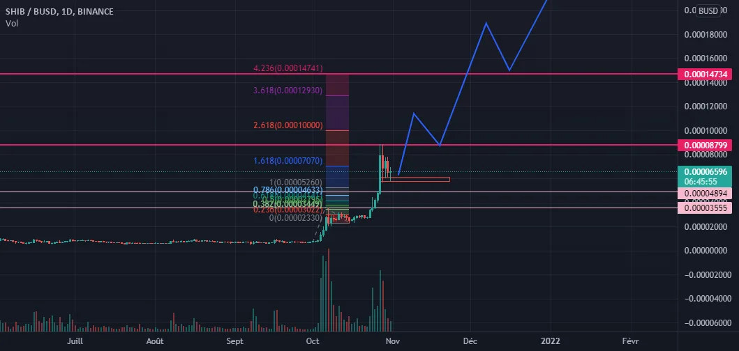 analyse pour BINANCE:SHIBBUSD par toualy56