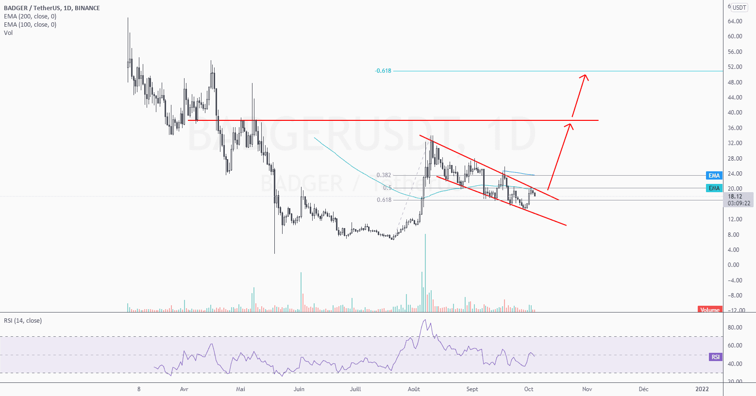 Achat BADGER pour BINANCE:BADGERUSDT par Marc_MAGNON