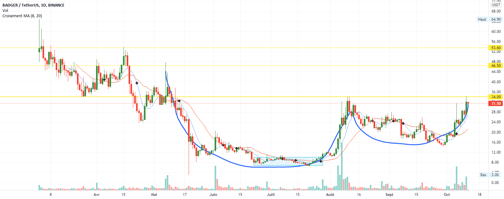 Badger prêt au décollage ? pour BINANCE:BADGERUSDT par Pax24