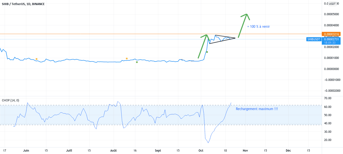 SHIBA INU va ré-exploser pour BINANCE:SHIBUSDT par DayFunny7350