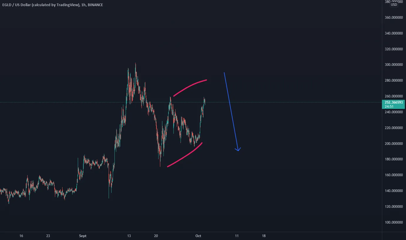 EGLD attention a la fin de cette correction pour BINANCE:EGLDUSD par RijinAnsari