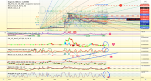 CADRAGE LONG TERME DOGE BTC pour HUOBI:DOGEBTC par Cryp0Crypt0