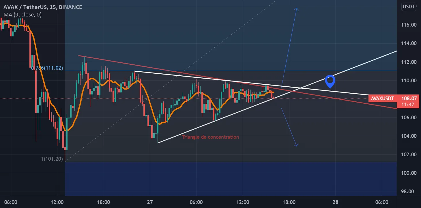 Review AVAX (voir ma première idée)(lisez la note c important) pour BINANCE:AVAXUSDT par Framboizee