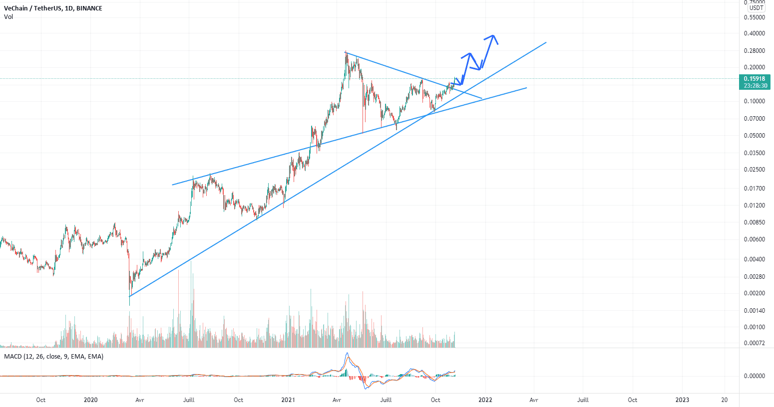 long vetusdt pour BINANCE:VETUSDT par frasineanumihai49