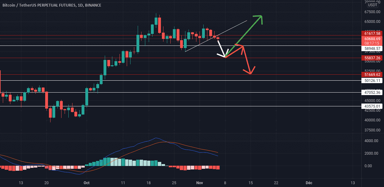 Btc usdt , une chute pour BINANCE:BTCUSDTPERP par rrer6630