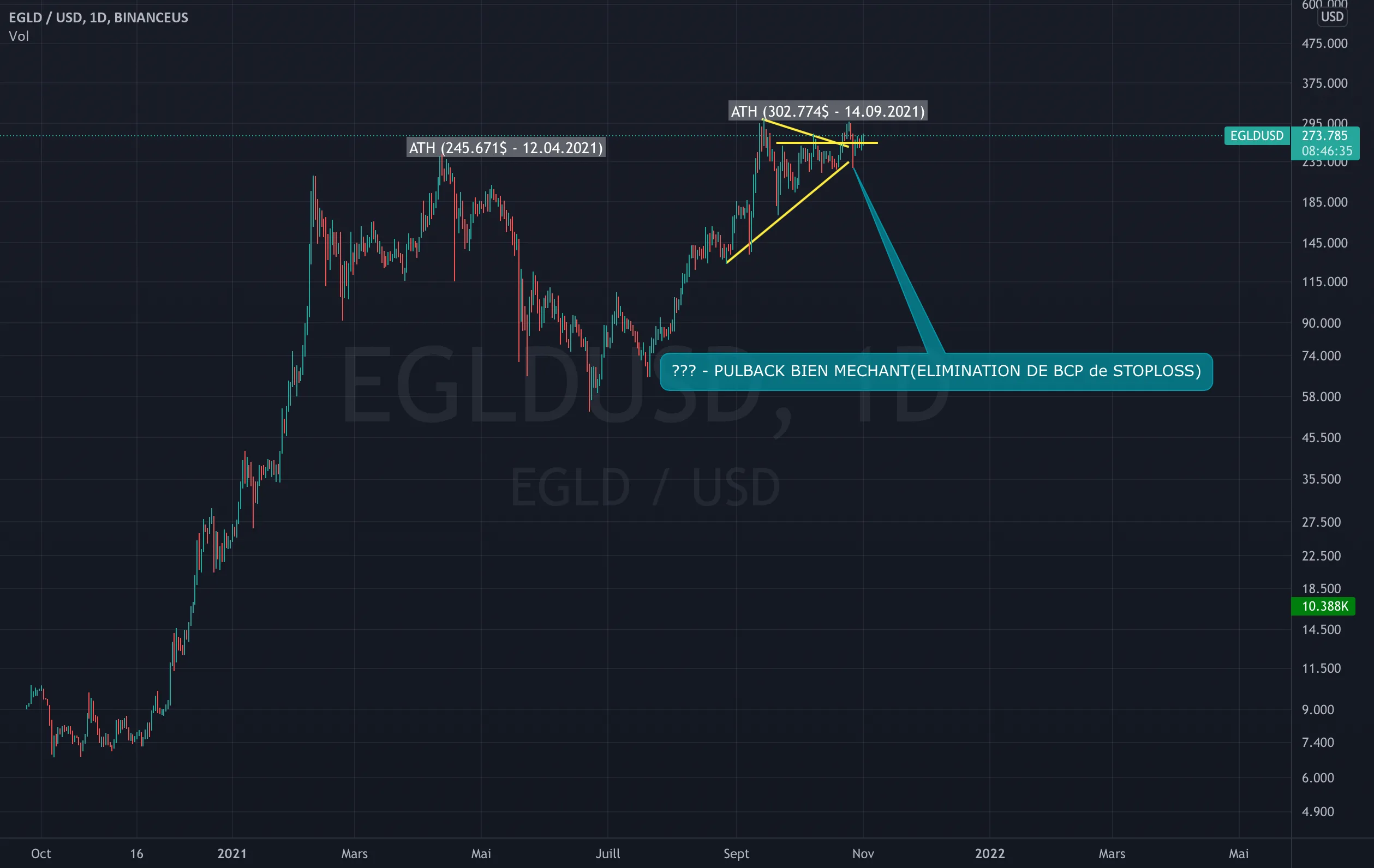 EGLDUSD: APRÈS SON NOUVEAU ATH UNE DERNIERE POUSSÉE À VENIR ? pour BINANCEUS:EGLDUSD par Flying_to_Jupiter