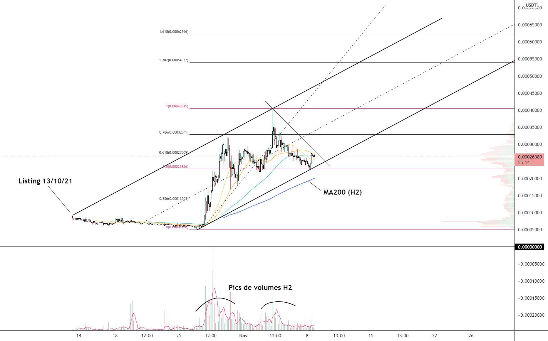 FLOKI/USD (H2) pour POLONIEX:FLOKIUSDT par Damo5444